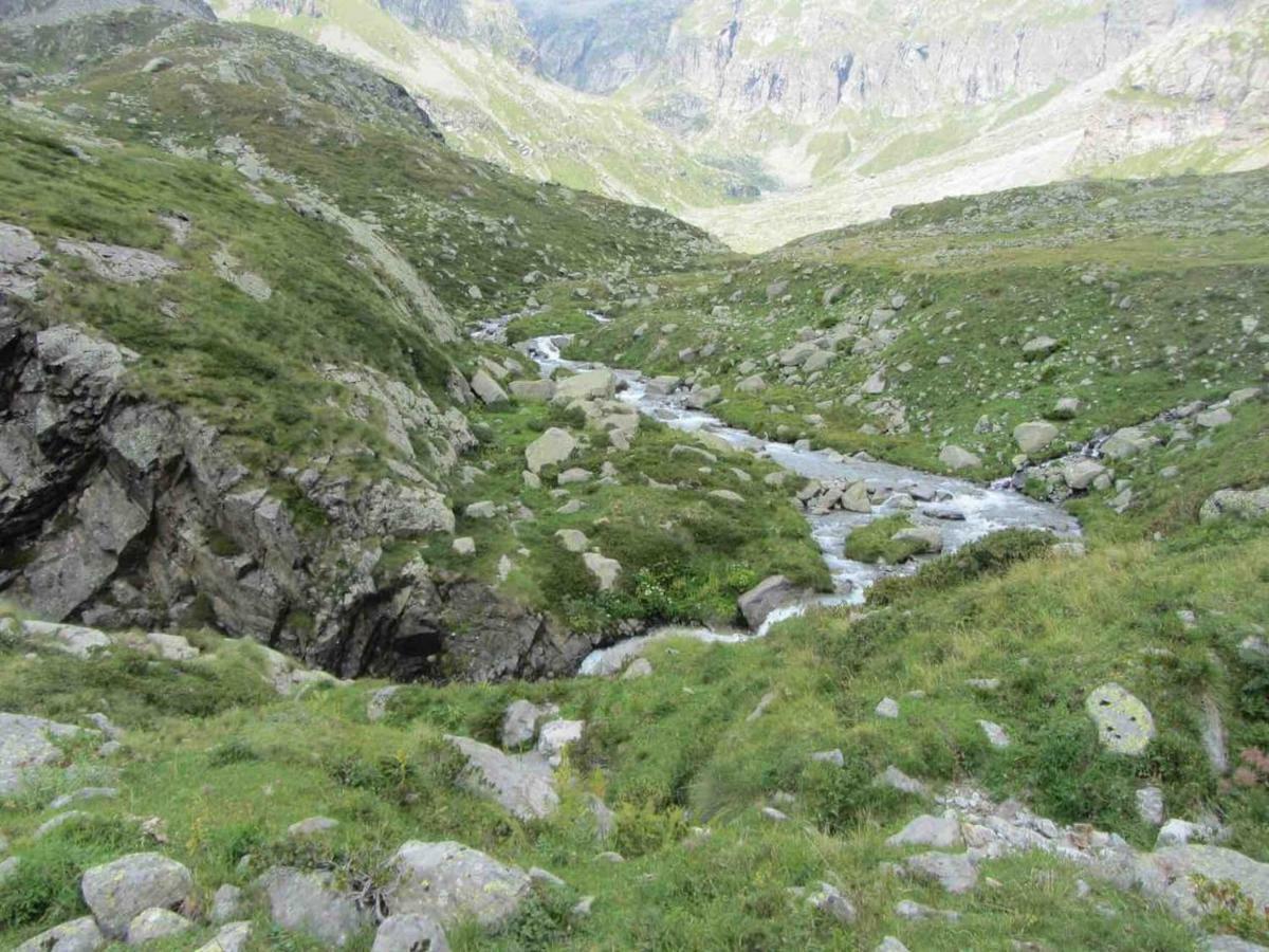 Bilocale A Due Passi Dal Gran Paradiso Locana Ngoại thất bức ảnh