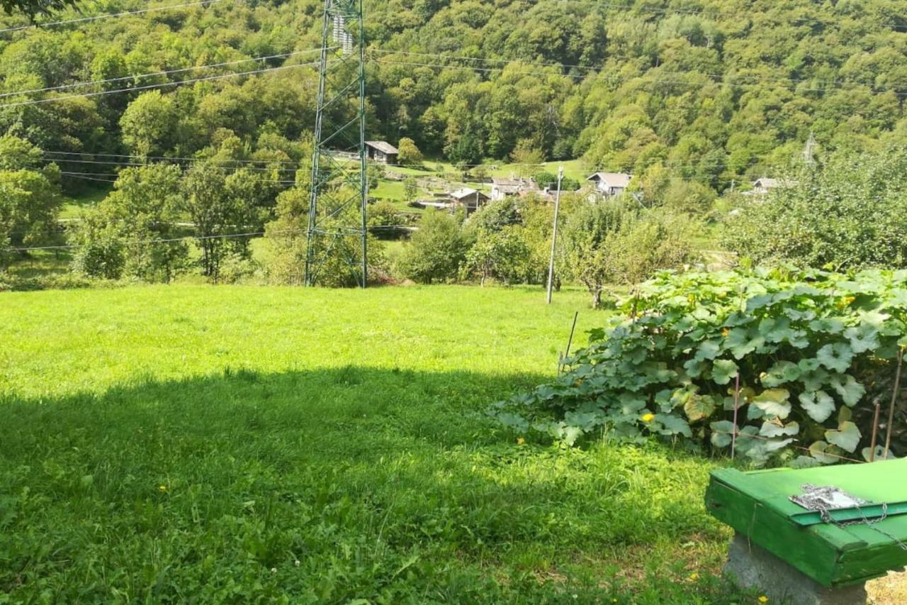 Bilocale A Due Passi Dal Gran Paradiso Locana Ngoại thất bức ảnh